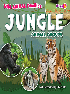 cover image of Jungle Animal Groups
